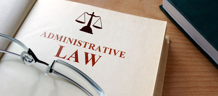 administrative law in houston